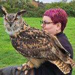 Sarah Louise Bearup - @bearup1975 - Instagram
