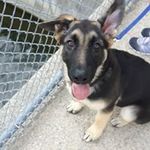 Sarah Beaton - @beaton9759 - Instagram