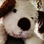 Sarah Bedwell - @sarahbedwell11 - Instagram