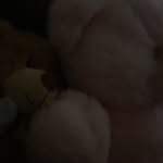Sarah - @sarah.bedwell1234 - Instagram