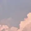 sarah.beeman - @sarah.beeman4 - TikTok