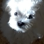 Rosaria Canzano - @sarah.bello.0987 - Instagram