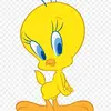 Sarah_28 - @sarahbergstrom21 - TikTok