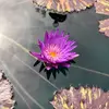 Sarah Bergstrom521 - @sarahbergstrom521 - TikTok