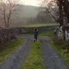 Sarah Bertolini - @sarahbertolini8 - TikTok