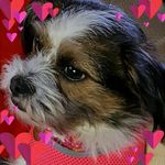 Sarah Beswick - @sarah.beswick.965 - Instagram