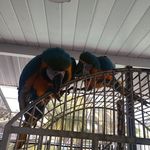 Sarah Bettis - @sarah.bettis.777 - Instagram