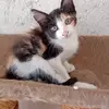 Sarah Bianco - @sarahbianco56 - TikTok