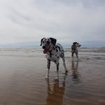 Sarah Bibby - @sazzlepot - Instagram