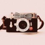 Sarah Bibby - @those_little_details001 - Instagram