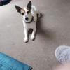 sarahbirkett85 - @sarahbirkett85 - TikTok