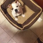 Sarah Birt - @birt2882 - Instagram