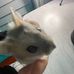 Sarah Bissonnette - Facebook