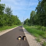 Sarah Bixler - Facebook