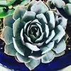 sarahbixler - @sarah.bixler - TikTok