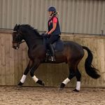 Sarah Blakemore Killion - @sarah_blakemore_killion_ - Instagram