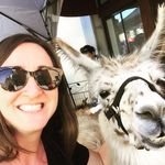 Sarah Blalock - @blalock.art - Instagram