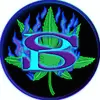 Sarah Blaze - @sarah_blazee - TikTok