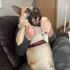 Sarah Marie - @sarahandblitz - TikTok