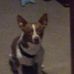Sarah Bonner - Facebook