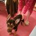 Sarah Beagles - Facebook