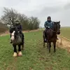 Sarah Boothe - @sarahboothe0 - TikTok