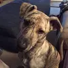 Sarah Bopp - @bopps224 - TikTok