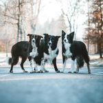 Sarah Schwarz - @bordervibes_sarah_schwarz - Instagram
