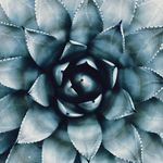 Sarah - @_sarah_boring_ - Instagram