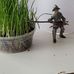 Sara Bourguignon - Facebook