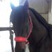 Sarah Bourguignon - Facebook