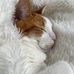 Sarah Bourguignon - Facebook