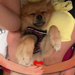 Sarah Bourguignon - @meyou.71 - Instagram