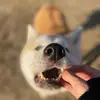 Sarah Bourguignon - @sarah.bourguignon48 - TikTok
