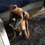 Sara Boxer - @sara.boxer - Instagram