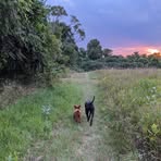 Sarah Braman - Facebook