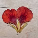 Sarah Braman - @msgrauer - Instagram