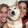 Sarah brandy - @sarah00320 - TikTok