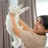 Sarah Brandy - @sarahbrandy08 - TikTok