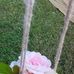 Sarah Brawley - Facebook