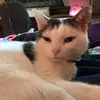 sarahbreault8 - @sarah.breault0 - TikTok
