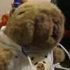 Sara bricks - @sara.bricks - TikTok
