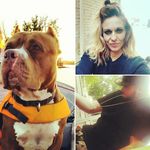 melissa sarah Brush - @brushmiss4 - Instagram