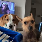 Sarah Bry - Facebook