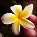 Sarah Bryner - @aksarahb - Instagram