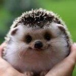 Sarah - @sarahbublitz1 - Instagram