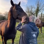 Equine Freelance Services by Sarah Buddin - @equine_freelanceservices - Instagram