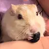 sarahbuist329 - @sarahbuist329 - TikTok
