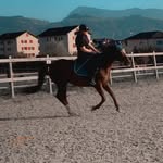 Sarah Burri - @sarah.burri_ - Instagram