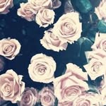 sarah burri - @burri_sarah - Instagram